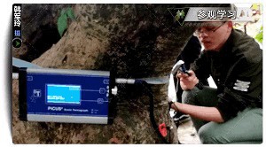 2018年全國(guó)園林植物保護(hù)交流協(xié)作會(huì)