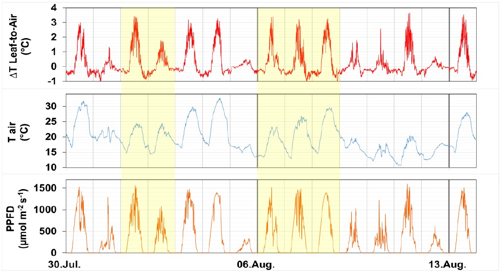 1658903632630511.png 1658903632630511.png