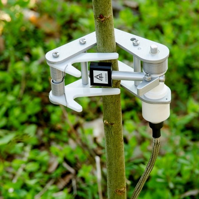 樹干直徑變化測量傳感器 樹干直徑變化測量傳感器