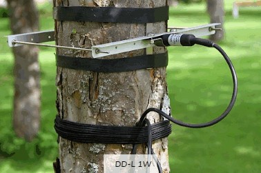 直徑生長測量傳感器 直徑生長測量傳感器