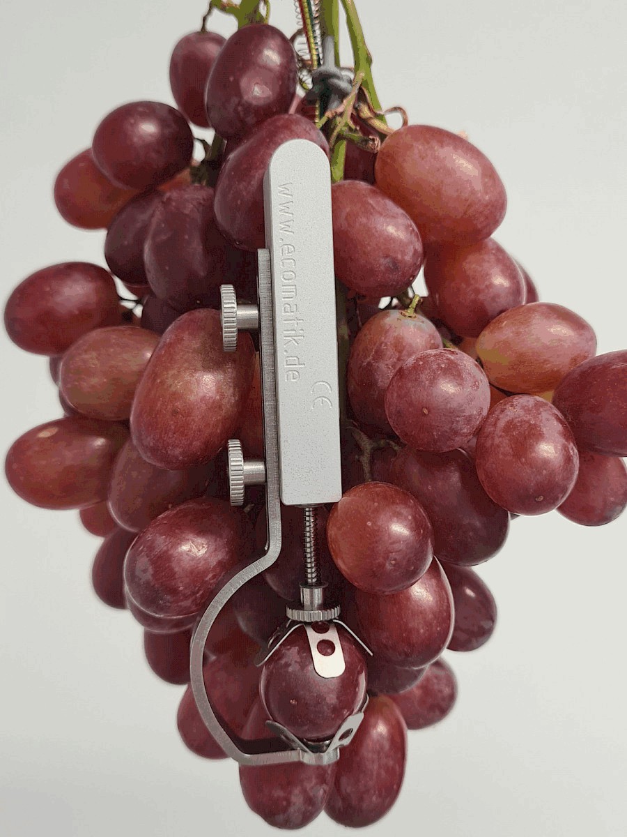 生長(zhǎng)測(cè)量傳感器 生長(zhǎng)測(cè)量傳感器