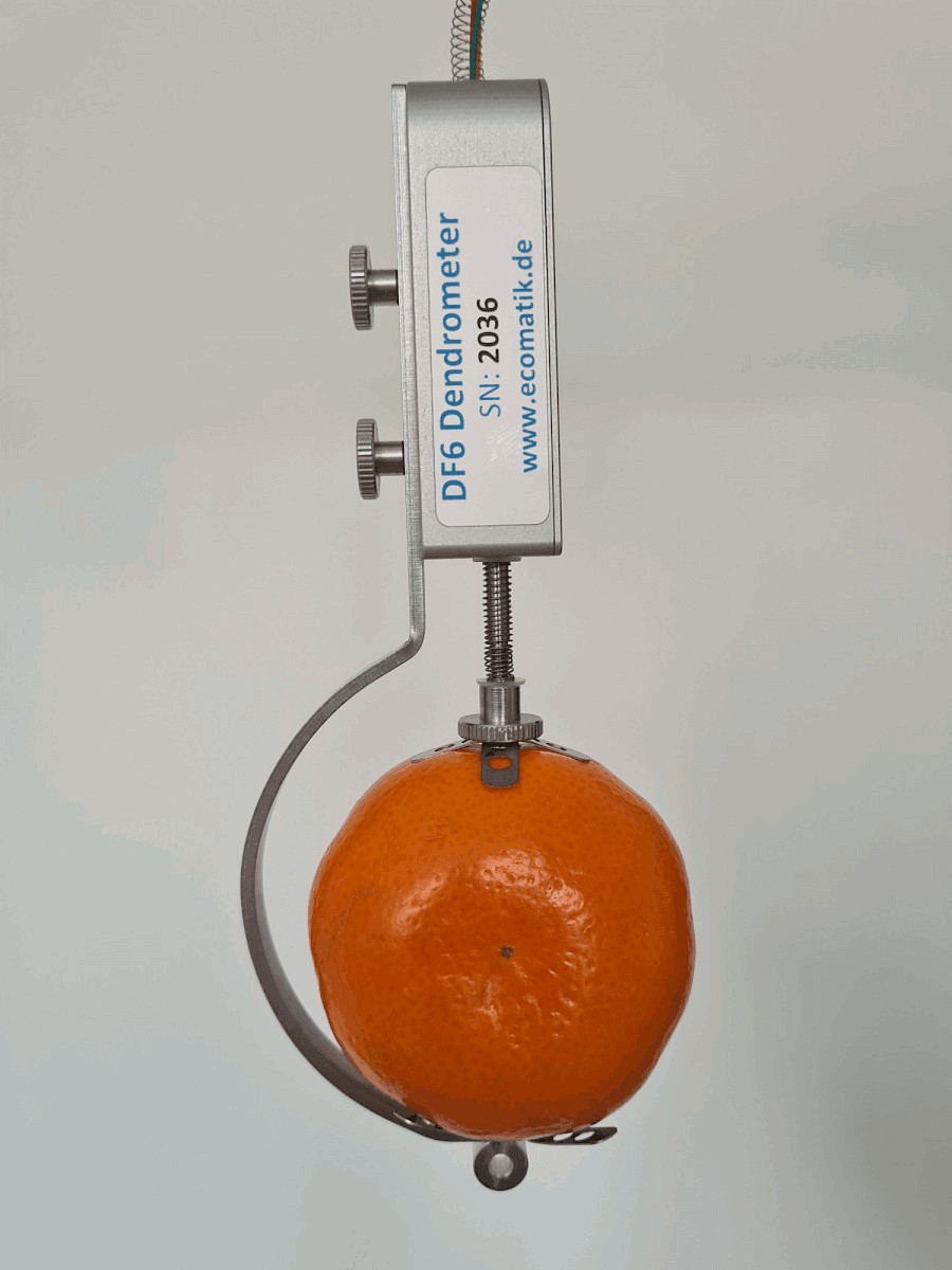 生長(zhǎng)測(cè)量傳感器 生長(zhǎng)測(cè)量傳感器