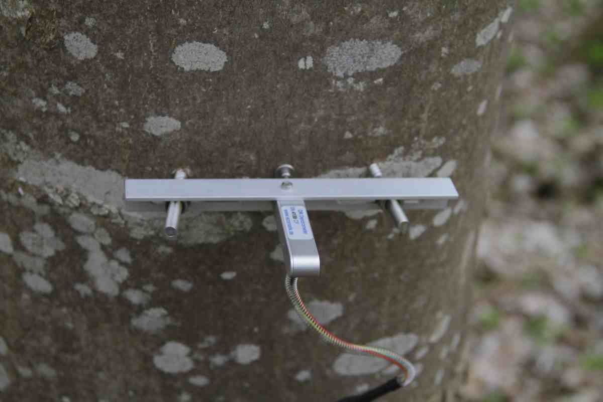 半徑生長測量儀 半徑生長測量儀