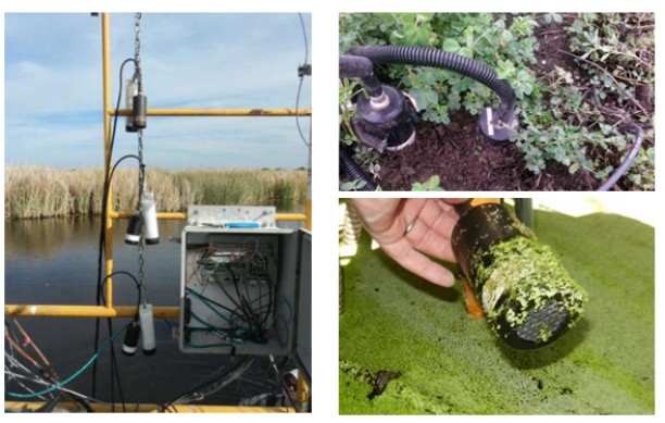 土壤剖面呼吸梯度觀測(cè)系統(tǒng) 土壤剖面呼吸梯度觀測(cè)系統(tǒng)