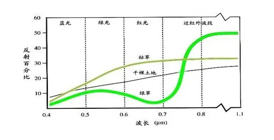 植物光譜、植被指數(shù)監(jiān)測儀