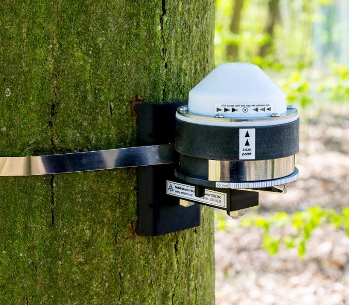 樹干莖稈生長(zhǎng)變化測(cè)量?jī)x