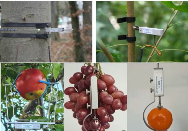 植物生長測量傳感器 植物生長測量傳感器