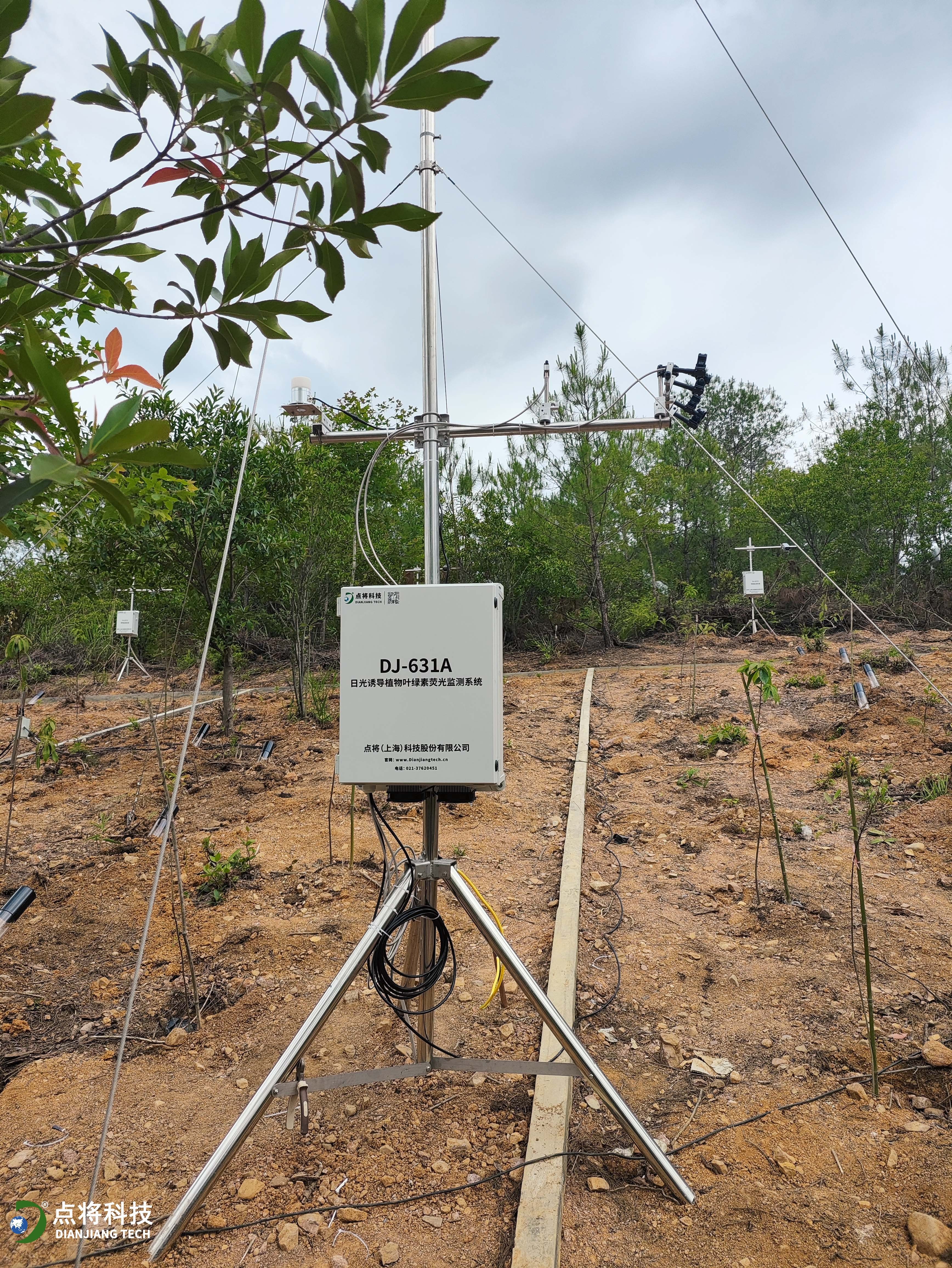 日光誘導葉綠素熒光